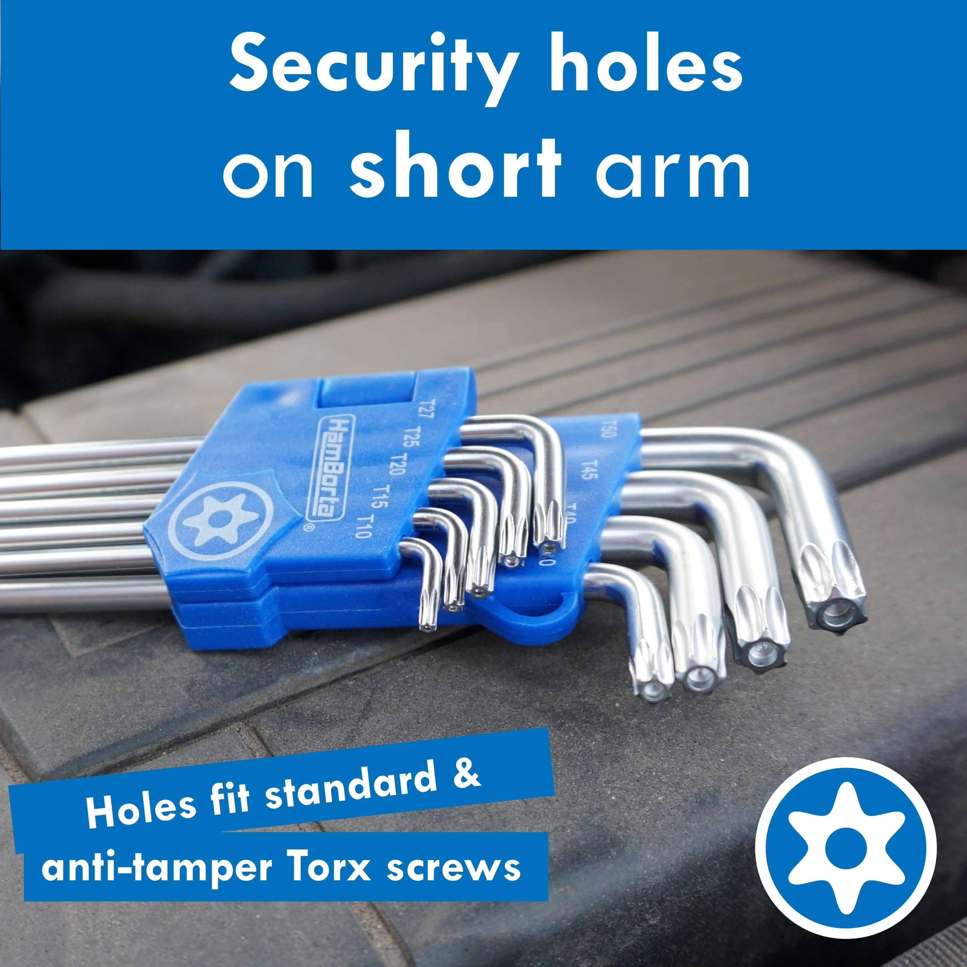 HemBorta Torx Key Set showcasing security holes on short arms for standard and anti-tamper Torx screws.