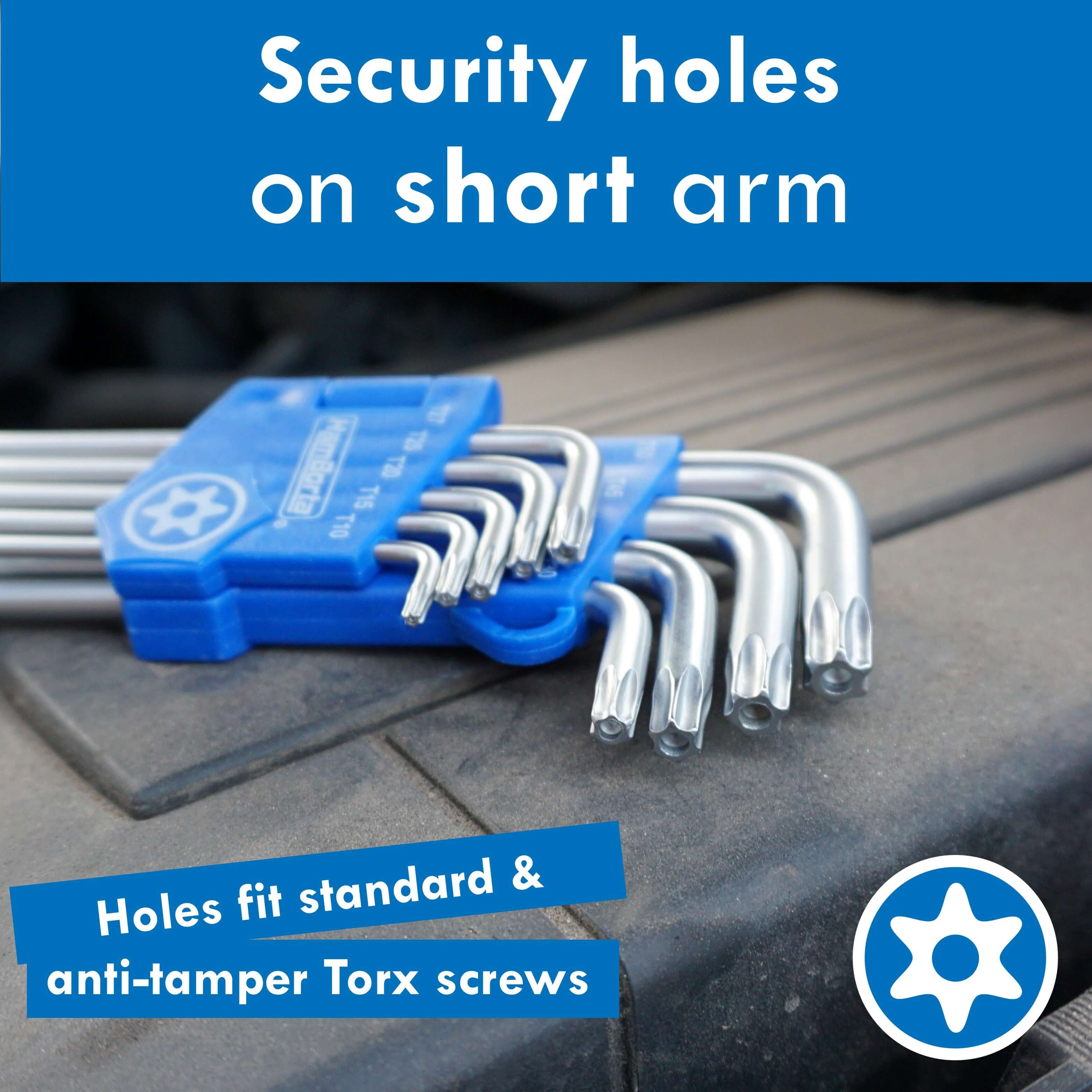 HemBorta Torx key set showing security holes on short arm, designed for standard and anti-tamper Torx screws.