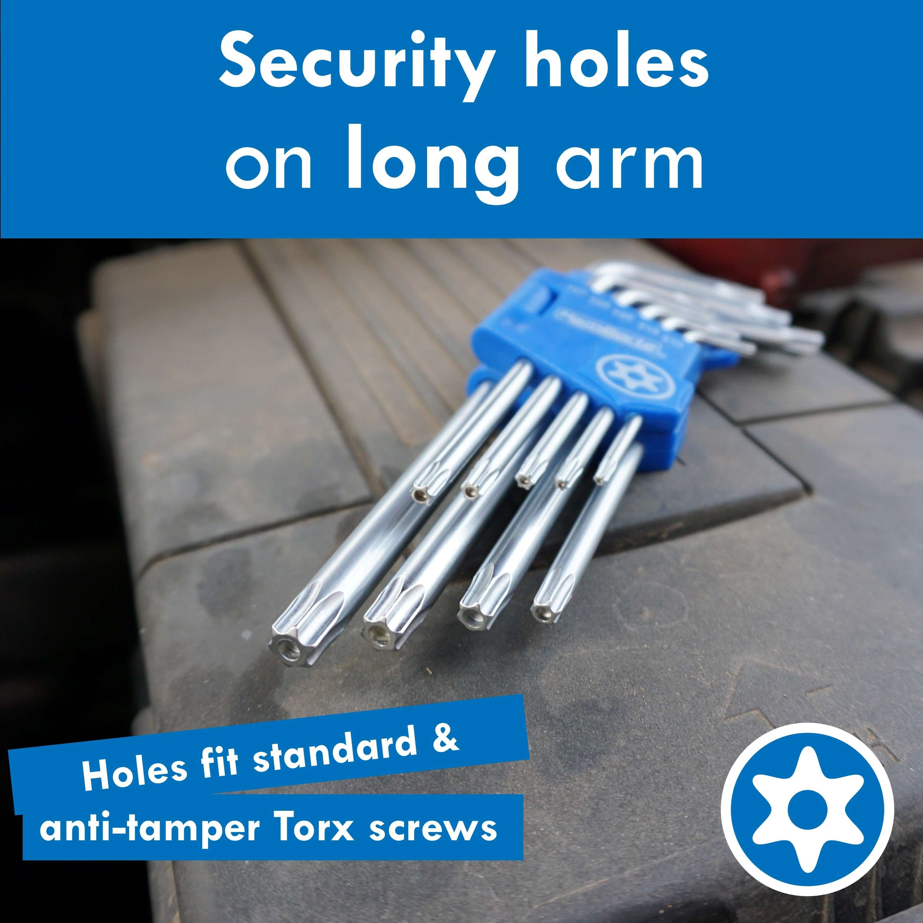 HemBorta 9pc long Torx key set with blue holder, featuring security holes for standard and anti-tamper screws.